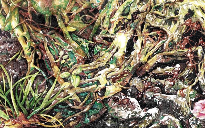 央美才女的钢笔素描画，精细到让人震惊又害怕~,钢笔,央美,才女,素描画,丙烯,铅笔,赵娜,素描,老虎,国度