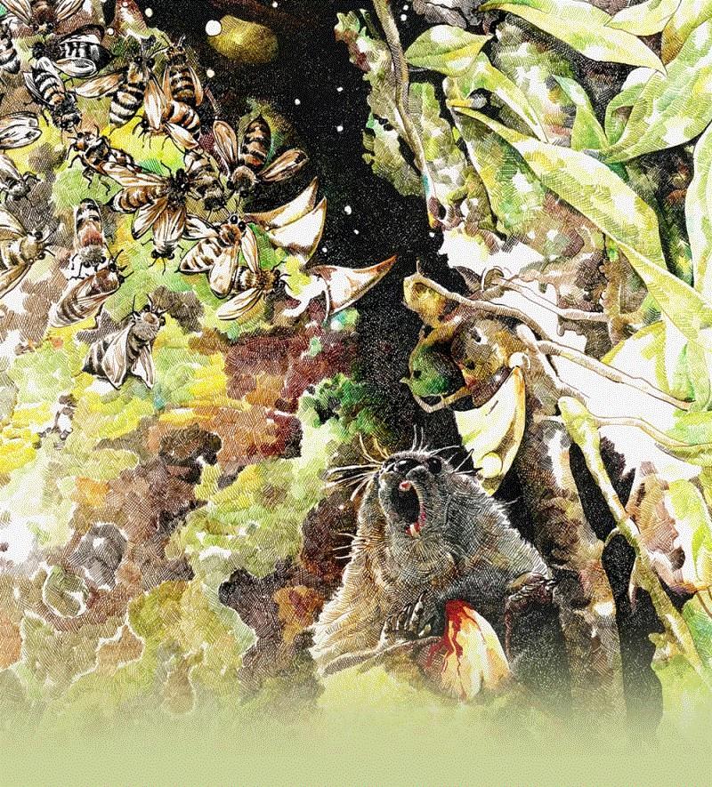 央美才女的钢笔素描画，精细到让人震惊又害怕~,钢笔,央美,才女,素描画,丙烯,铅笔,赵娜,素描,老虎,国度