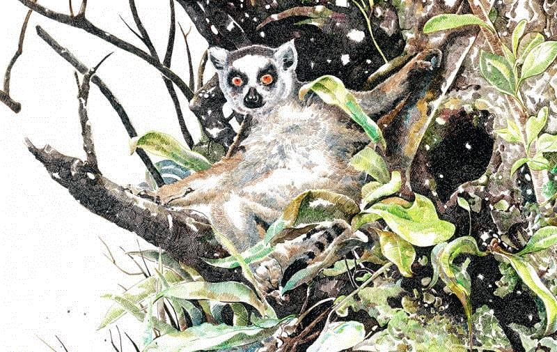 央美才女的钢笔素描画，精细到让人震惊又害怕~,钢笔,央美,才女,素描画,丙烯,铅笔,赵娜,素描,老虎,国度