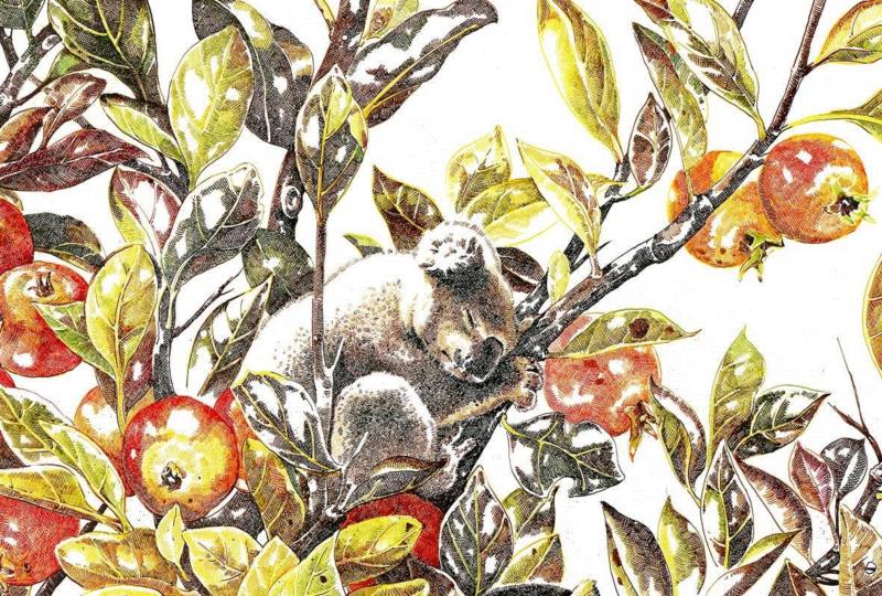 央美才女的钢笔素描画，精细到让人震惊又害怕~,钢笔,央美,才女,素描画,丙烯,铅笔,赵娜,素描,老虎,国度