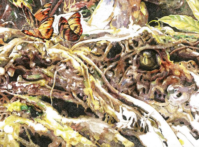 央美才女的钢笔素描画，精细到让人震惊又害怕~,钢笔,央美,才女,素描画,丙烯,铅笔,赵娜,素描,老虎,国度