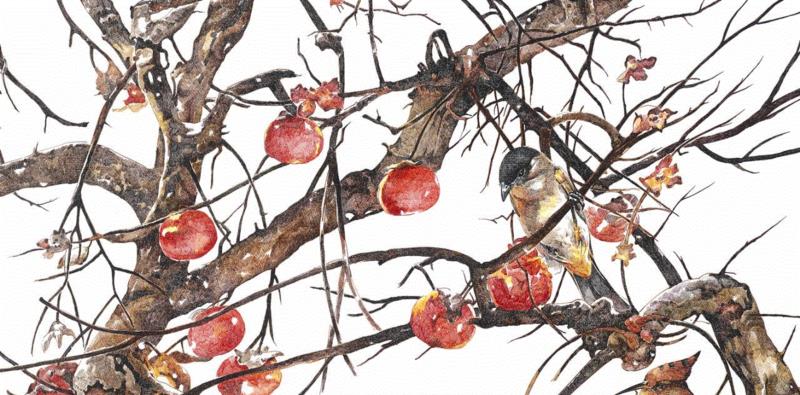 央美才女的钢笔素描画，精细到让人震惊又害怕~,钢笔,央美,才女,素描画,丙烯,铅笔,赵娜,素描,老虎,国度