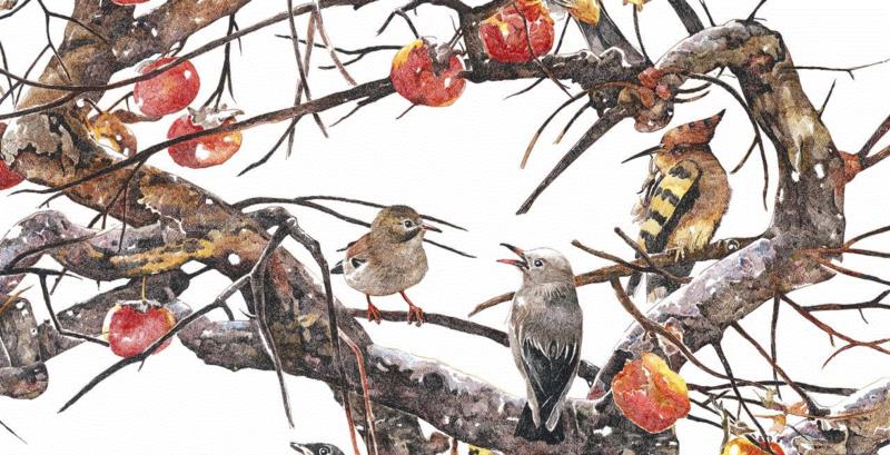 央美才女的钢笔素描画，精细到让人震惊又害怕~,钢笔,央美,才女,素描画,丙烯,铅笔,赵娜,素描,老虎,国度