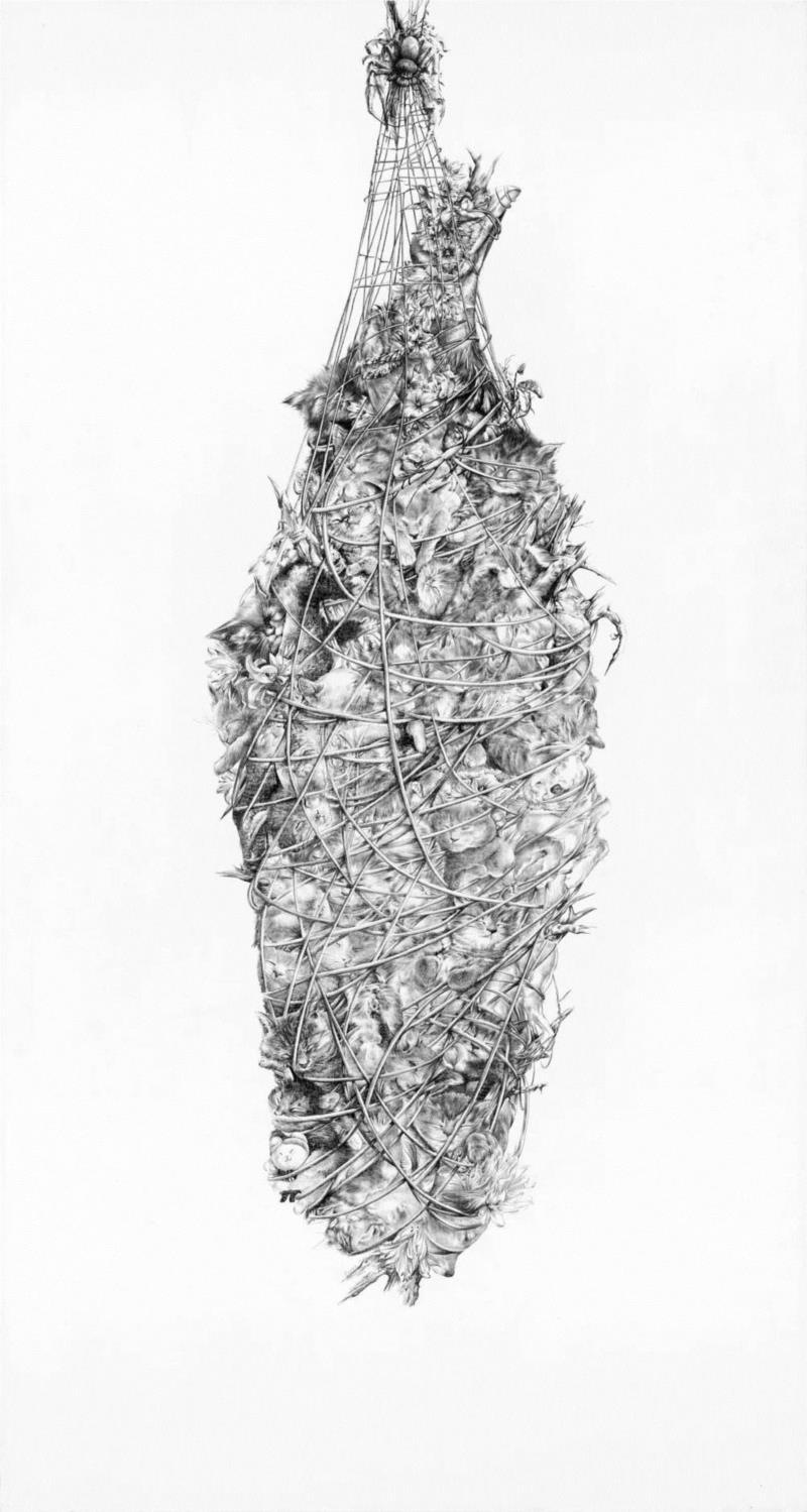 央美才女的钢笔素描画，精细到让人震惊又害怕~,钢笔,央美,才女,素描画,丙烯,铅笔,赵娜,素描,老虎,国度