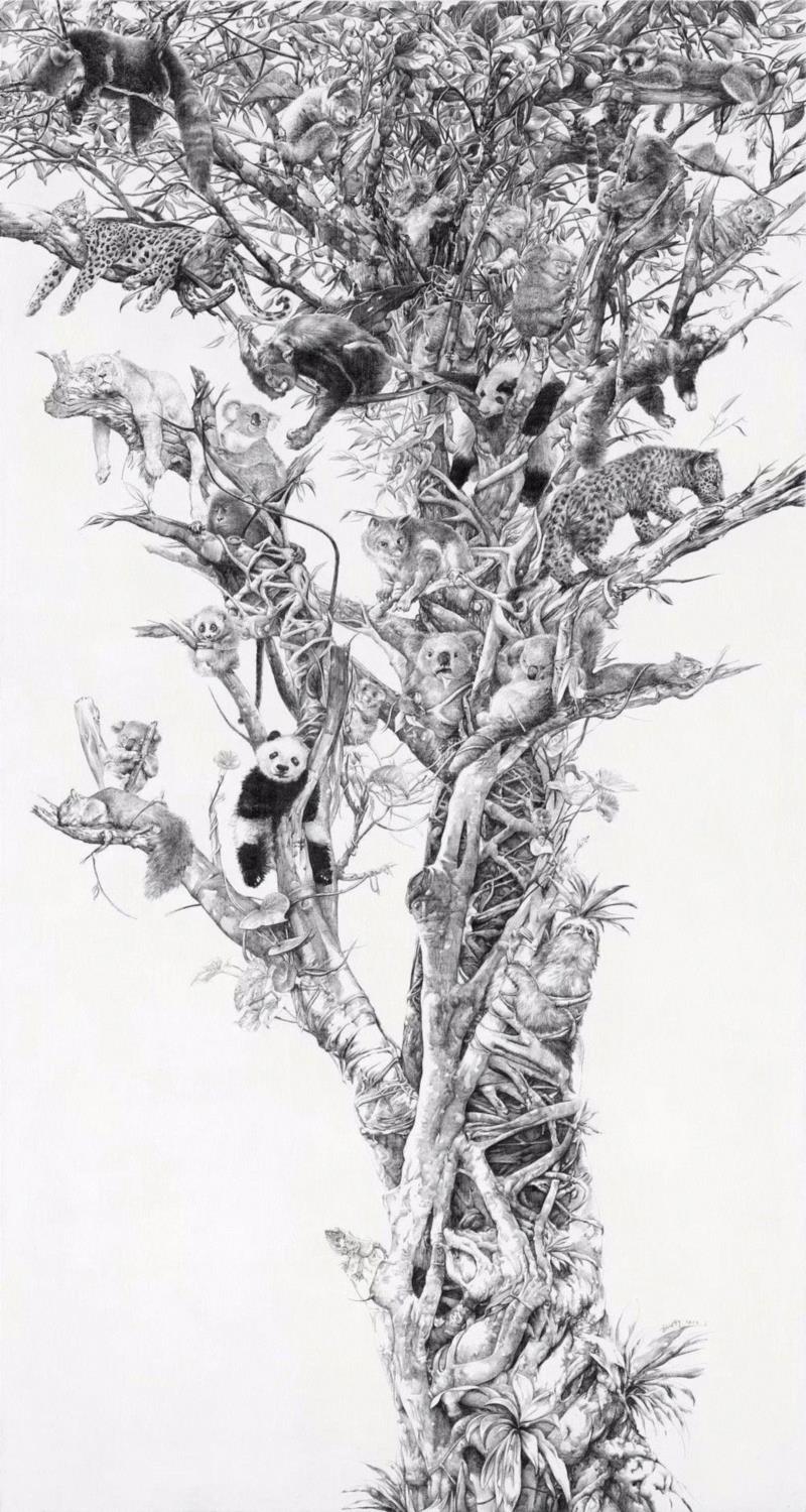 央美才女的钢笔素描画，精细到让人震惊又害怕~,钢笔,央美,才女,素描画,丙烯,铅笔,赵娜,素描,老虎,国度