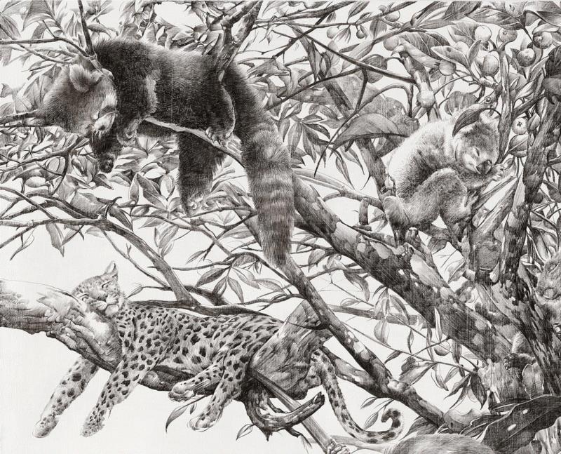 央美才女的钢笔素描画，精细到让人震惊又害怕~,钢笔,央美,才女,素描画,丙烯,铅笔,赵娜,素描,老虎,国度