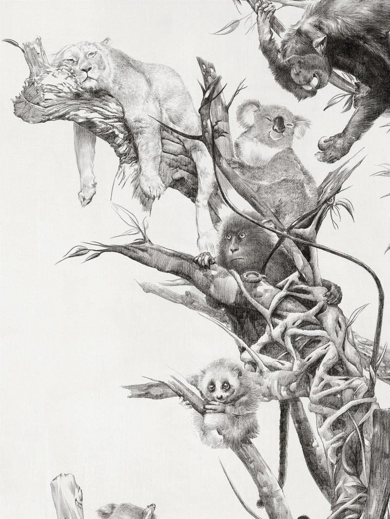 央美才女的钢笔素描画，精细到让人震惊又害怕~,钢笔,央美,才女,素描画,丙烯,铅笔,赵娜,素描,老虎,国度