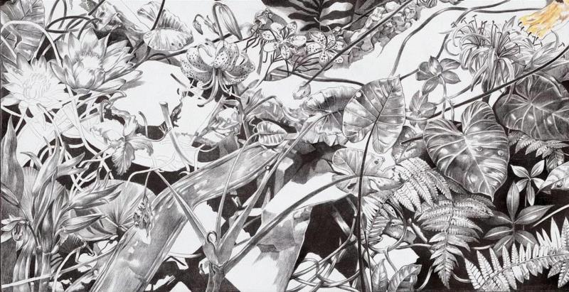 央美才女的钢笔素描画，精细到让人震惊又害怕~,钢笔,央美,才女,素描画,丙烯,铅笔,赵娜,素描,老虎,国度