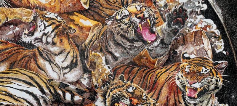 央美才女的钢笔素描画，精细到让人震惊又害怕~,钢笔,央美,才女,素描画,丙烯,铅笔,赵娜,素描,老虎,国度