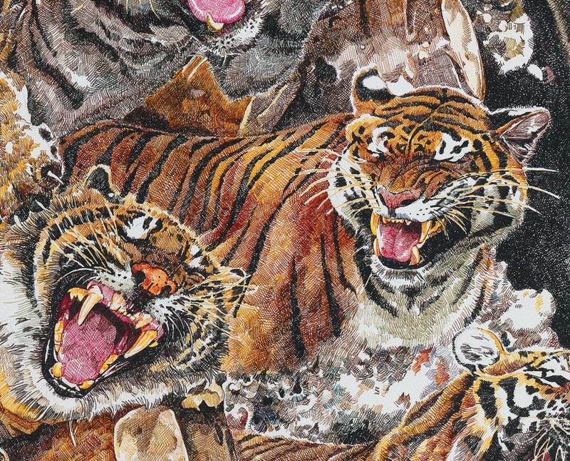 央美才女的钢笔素描画，精细到让人震惊又害怕~,钢笔,央美,才女,素描画,丙烯,铅笔,赵娜,素描,老虎,国度