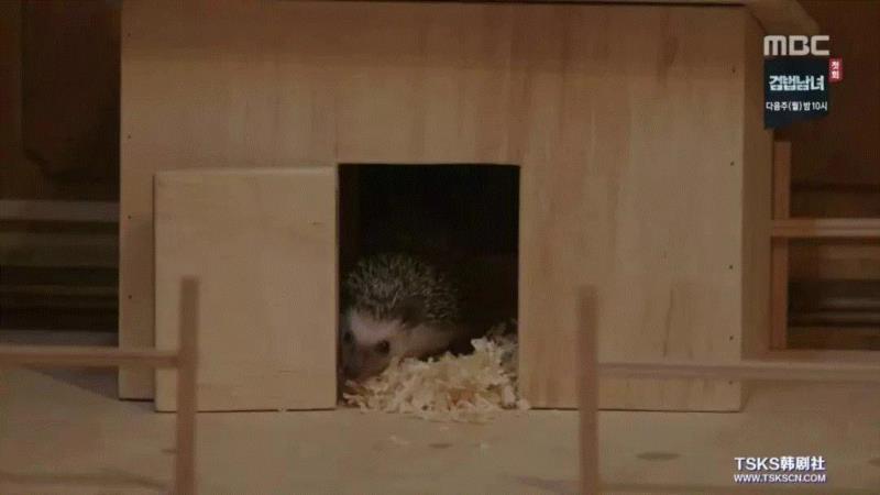 豆瓣8.5，这么甜的韩剧四集不够看啊,韩剧,豆瓣,金来沅,韩恩星,爱情,友谊,家里,友情,德善,男女