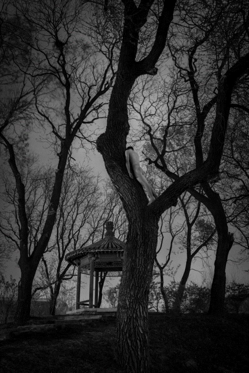 美的身体，痛苦的身体 | 世界摄影俱乐部会员作品精选集第2期,俱乐部,美的,精选集,荣誉,这个世界,图画,会员们,人体,人体群,Club