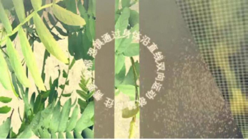 《没有器官的身体》  情境影像,【系列讲座】后“新媒体”时代的工作方式,新媒体,工作方式,朱昶全,影像,美术馆,中国美术学院美术馆,青年,Vanguard,三亚,馆内