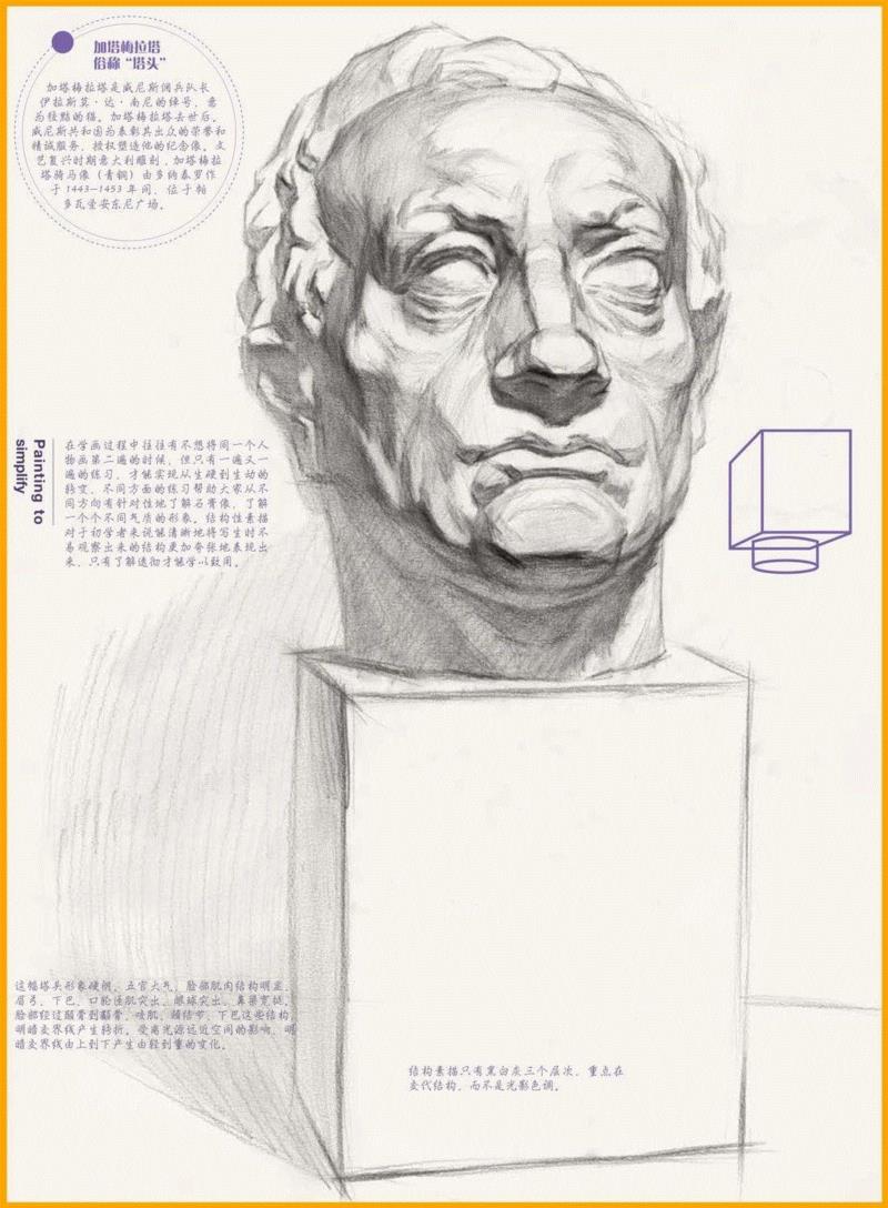 美术生必须要掌握的三个石膏像！你会画吗？