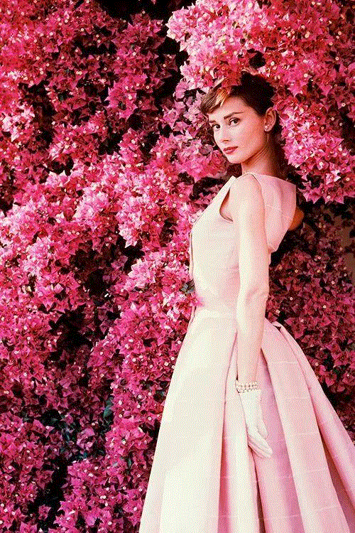 时尚摄影之父Norman Parkinson