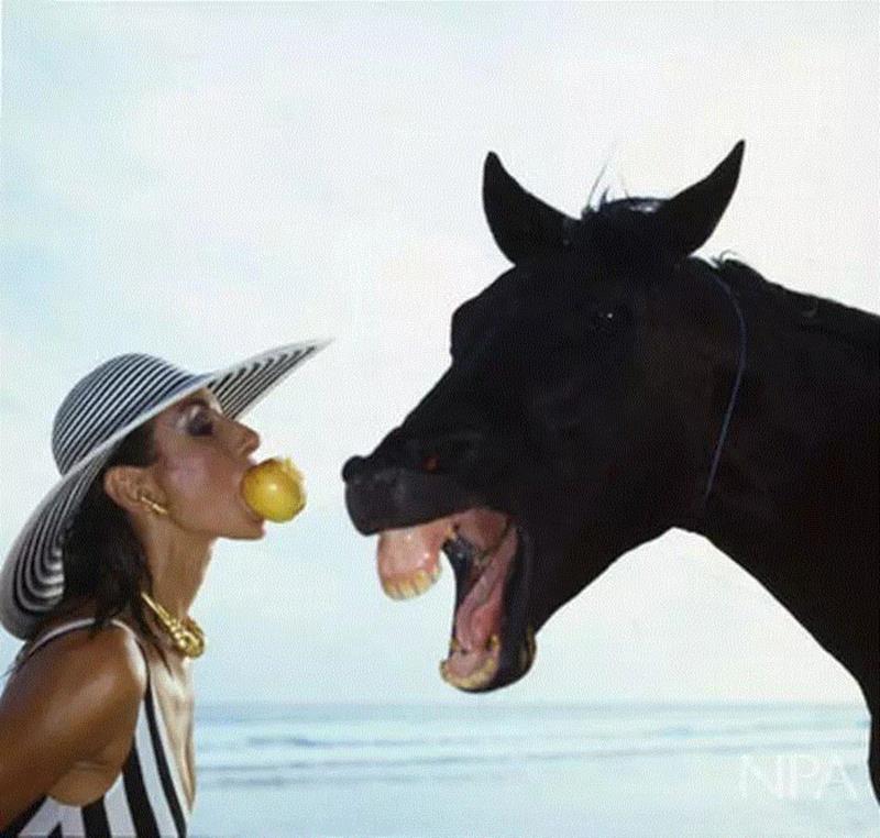 时尚摄影之父Norman Parkinson