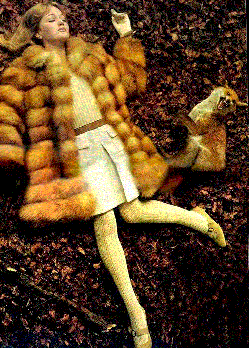 时尚摄影之父Norman Parkinson