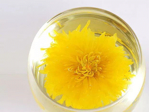 天气燥热时，泡上一杯，清凉消暑。,皇帝都爱喝的菊花茶，一朵泡一杯，清凉下火