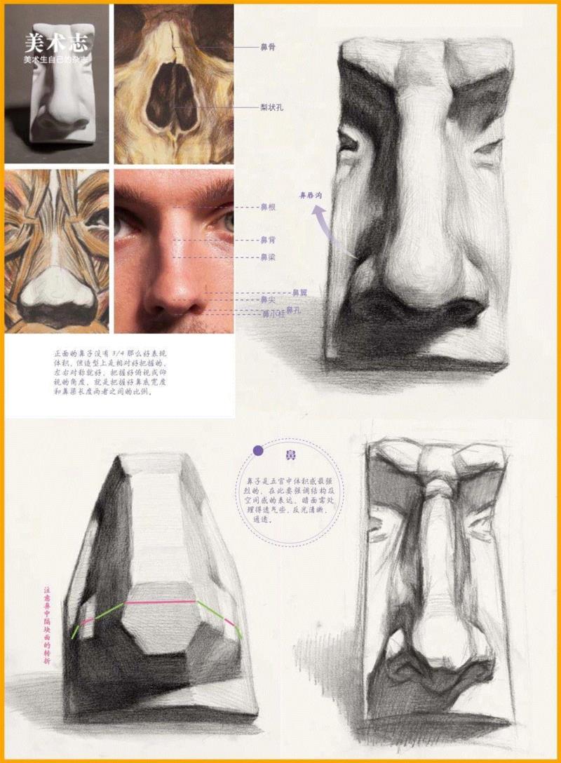 深度解析【石膏五官】要点！助你快速理解！