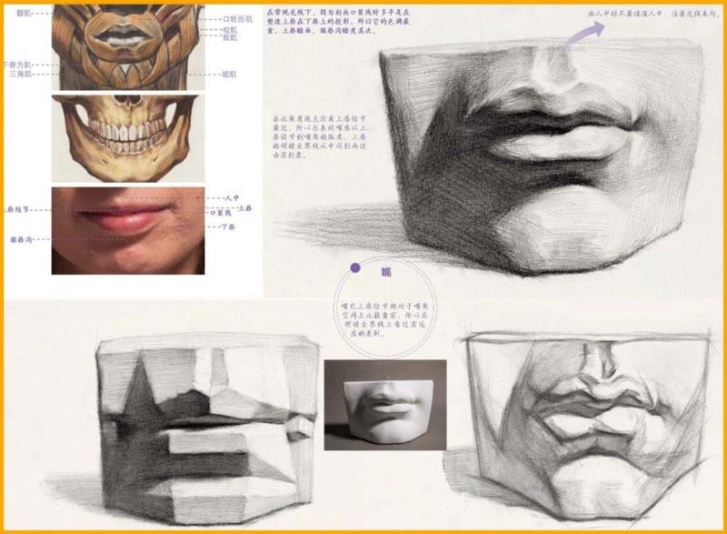 深度解析【石膏五官】要点！助你快速理解！