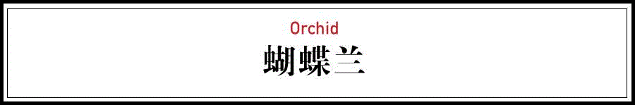 日本顶级花道，3分钟轻松学到手！