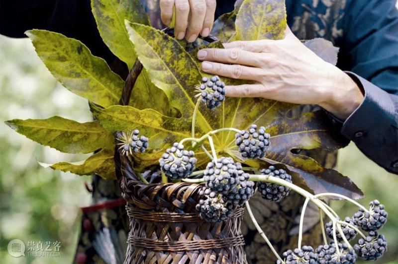 草月流对花材、花器甚至花型都没有过多的限制，,日本顶级花道，3分钟轻松学到手！