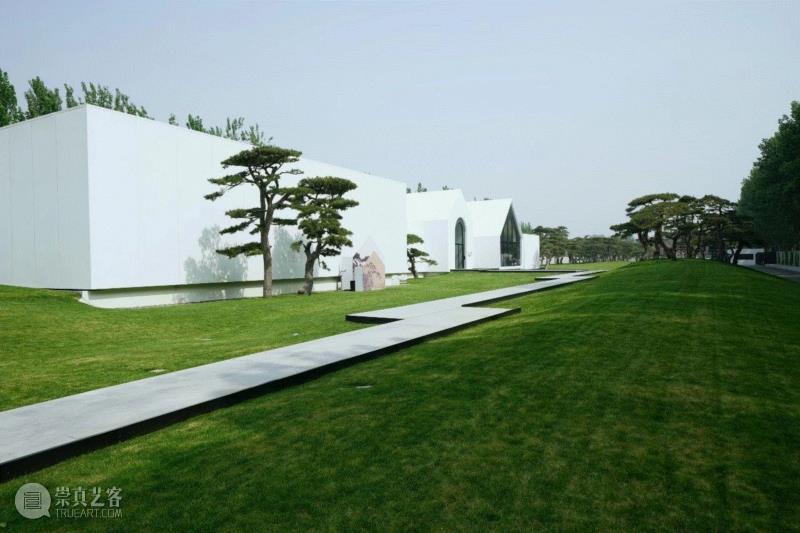 「松」分享 | 明月松间照:松美术馆大展“中国古代绘画中的松”惊艳开幕。