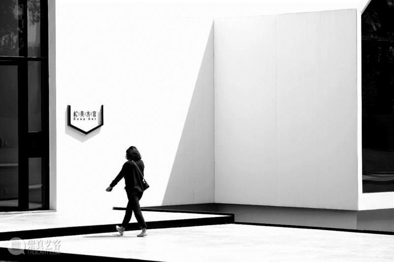 「松」分享 | 明月松间照:松美术馆大展“中国古代绘画中的松”惊艳开幕。