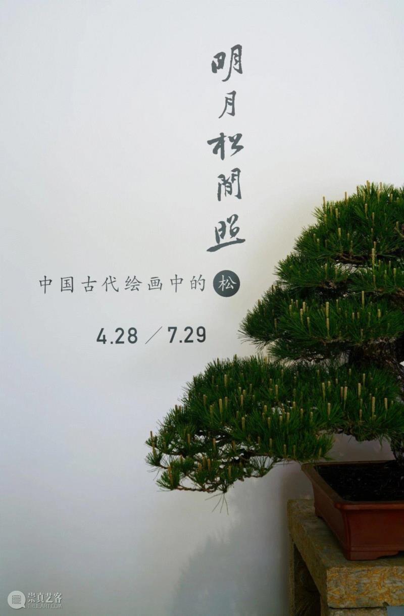 「松」分享 | 明月松间照:松美术馆大展“中国古代绘画中的松”惊艳开幕。