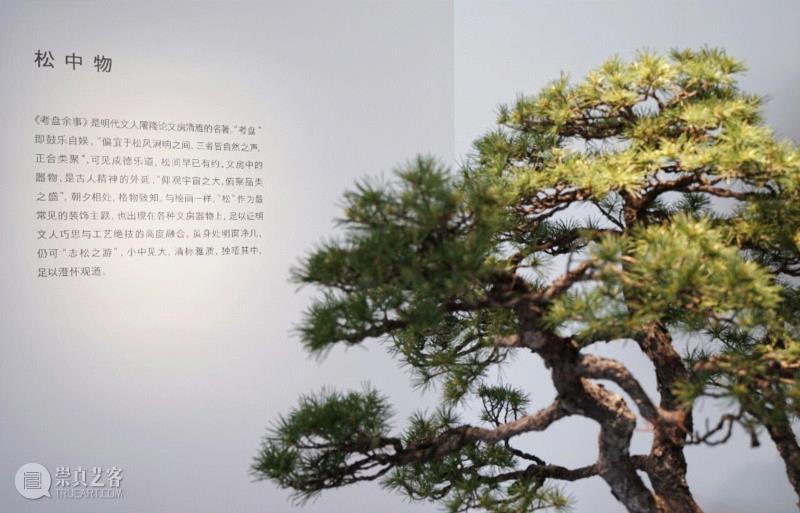 “松中物”,「松」分享 | 明月松间照:松美术馆大展“中国古代绘画中的松”惊艳开幕。