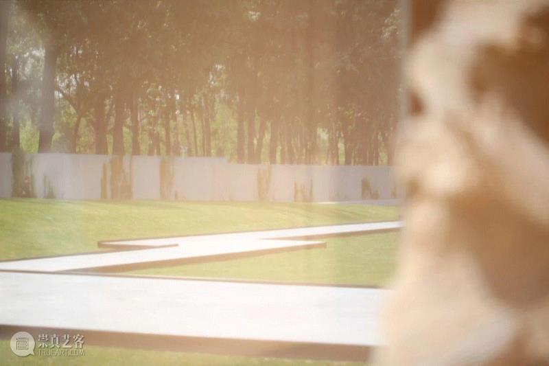 「松」分享 | 明月松间照:松美术馆大展“中国古代绘画中的松”惊艳开幕。