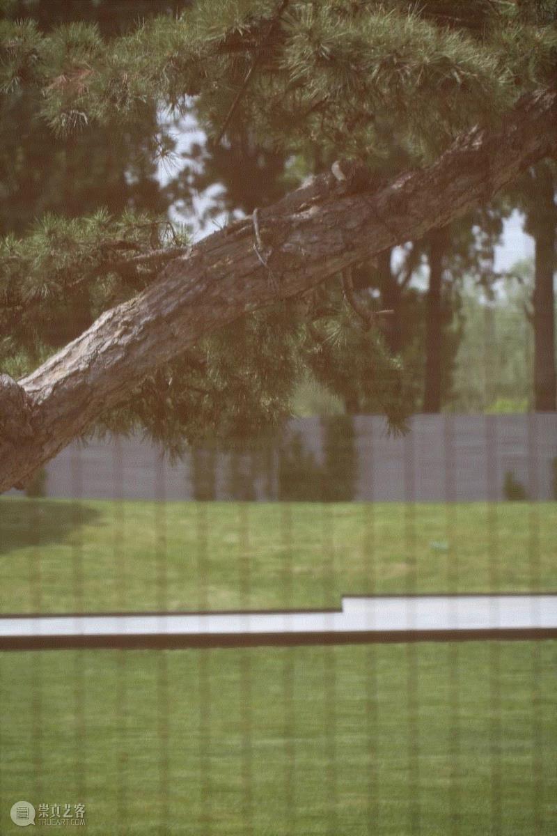 「松」分享 | 明月松间照:松美术馆大展“中国古代绘画中的松”惊艳开幕。