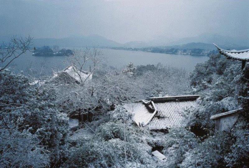 【115年社庆专题】西泠印社历史沿革（二）