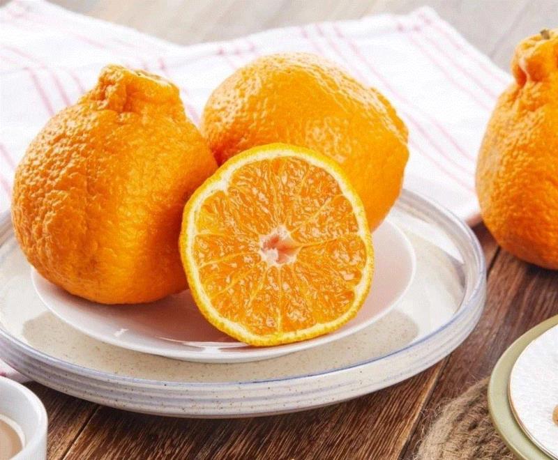 现在水果市场上卖的柑橘，大多都在冷库中呆了几个月，吃到嘴里干巴巴的，还有一股不新鲜的味道。,它叫丑八怪，又酸又甜又新鲜，只有春天能吃到！