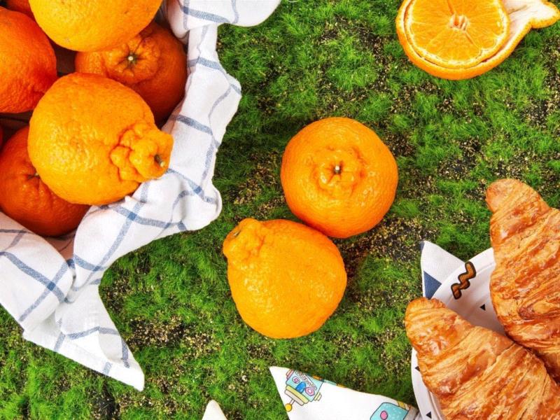 丑柑其实是从日本引进的柑橘杂交品种。,它叫丑八怪，又酸又甜又新鲜，只有春天能吃到！