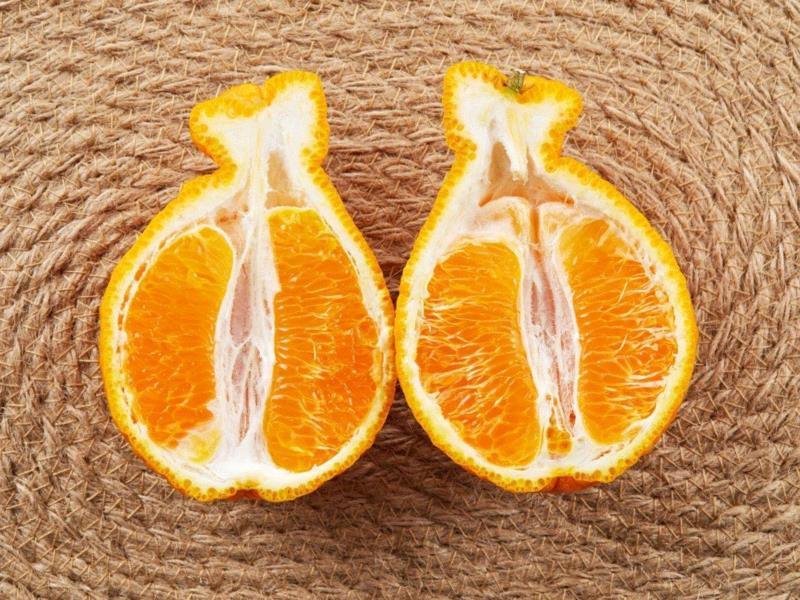 从侧面切开，像一个小葫芦，丑得很可爱。,它叫丑八怪，又酸又甜又新鲜，只有春天能吃到！