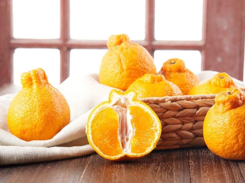 真的有料丑柑，现一条生活馆有售,它叫丑八怪，又酸又甜又新鲜，只有春天能吃到！