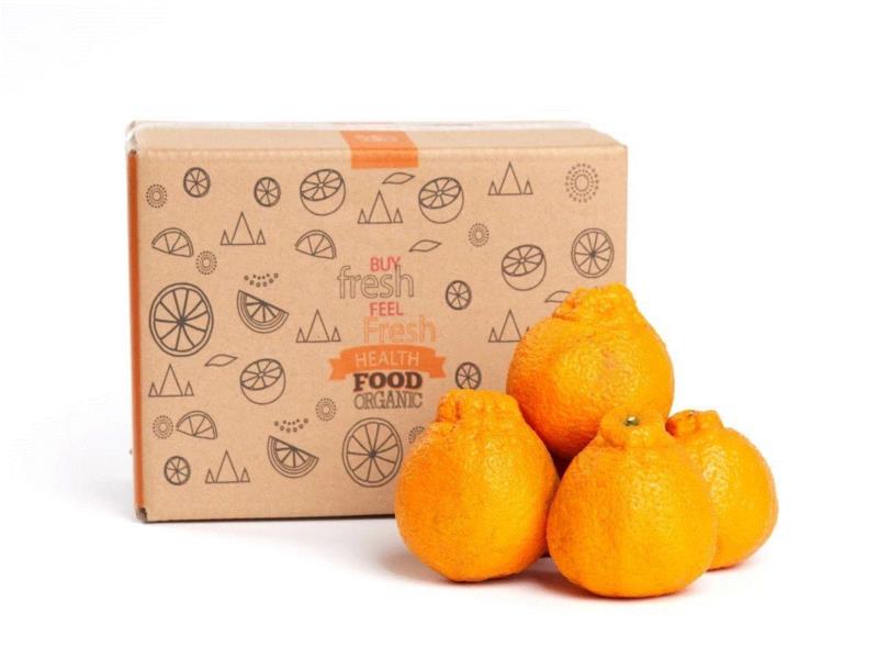 它叫丑八怪，又酸又甜又新鲜，只有春天能吃到！