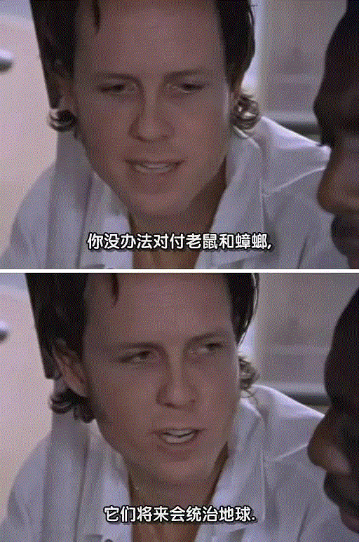 H（黄）B（暴）O（污）：电视剧原来还可以这么拍！