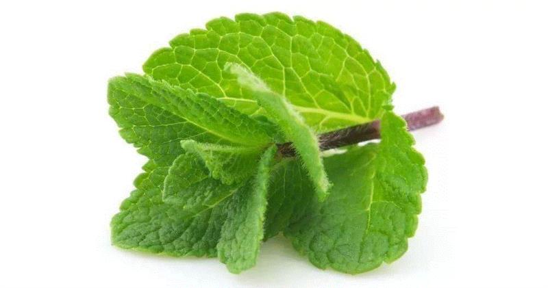 这根能量棒，让你随时随地吞云吐雾