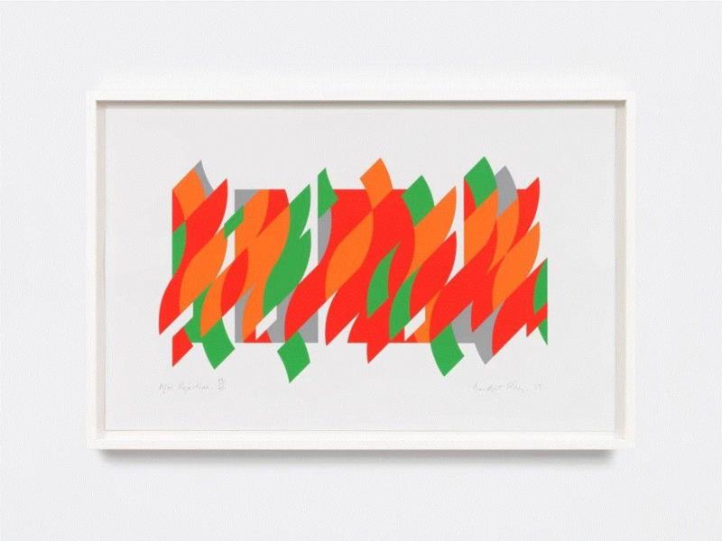 After Rajasthan, 2013,日本DIC川村纪念美术馆 | 布里奇特·赖利 (Bridget Riley) 近38年来首次大型个展