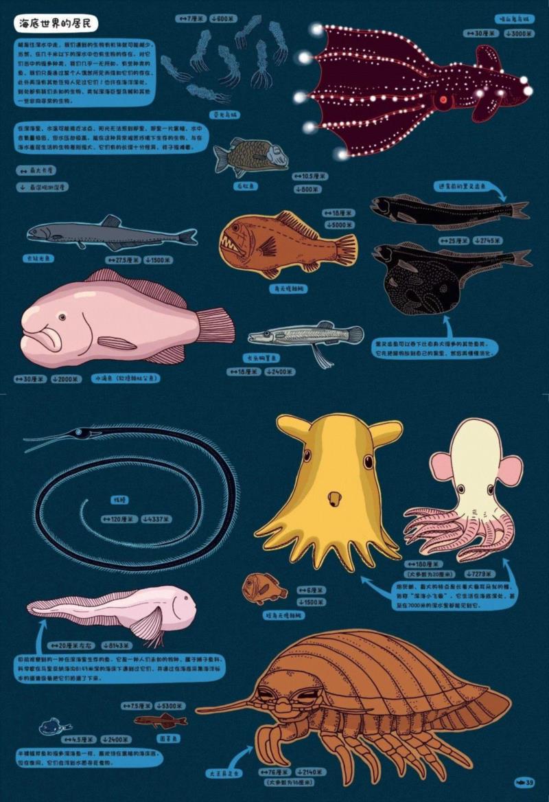 当我把这些给孩子看时，所有问题迎刃而解。,问天问大地，问不倒你爹地妈咪