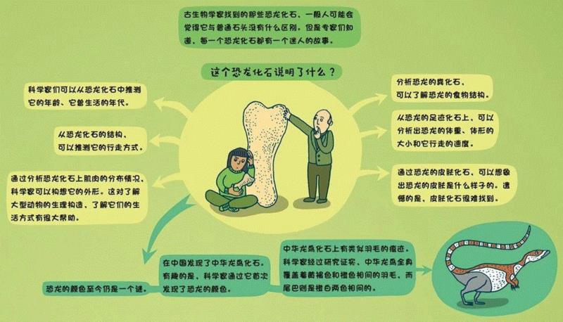 恐龙早在6000多万年前，在人类出现之前就绝迹了。因此，我们只能通过地下的化石来了解它们。 