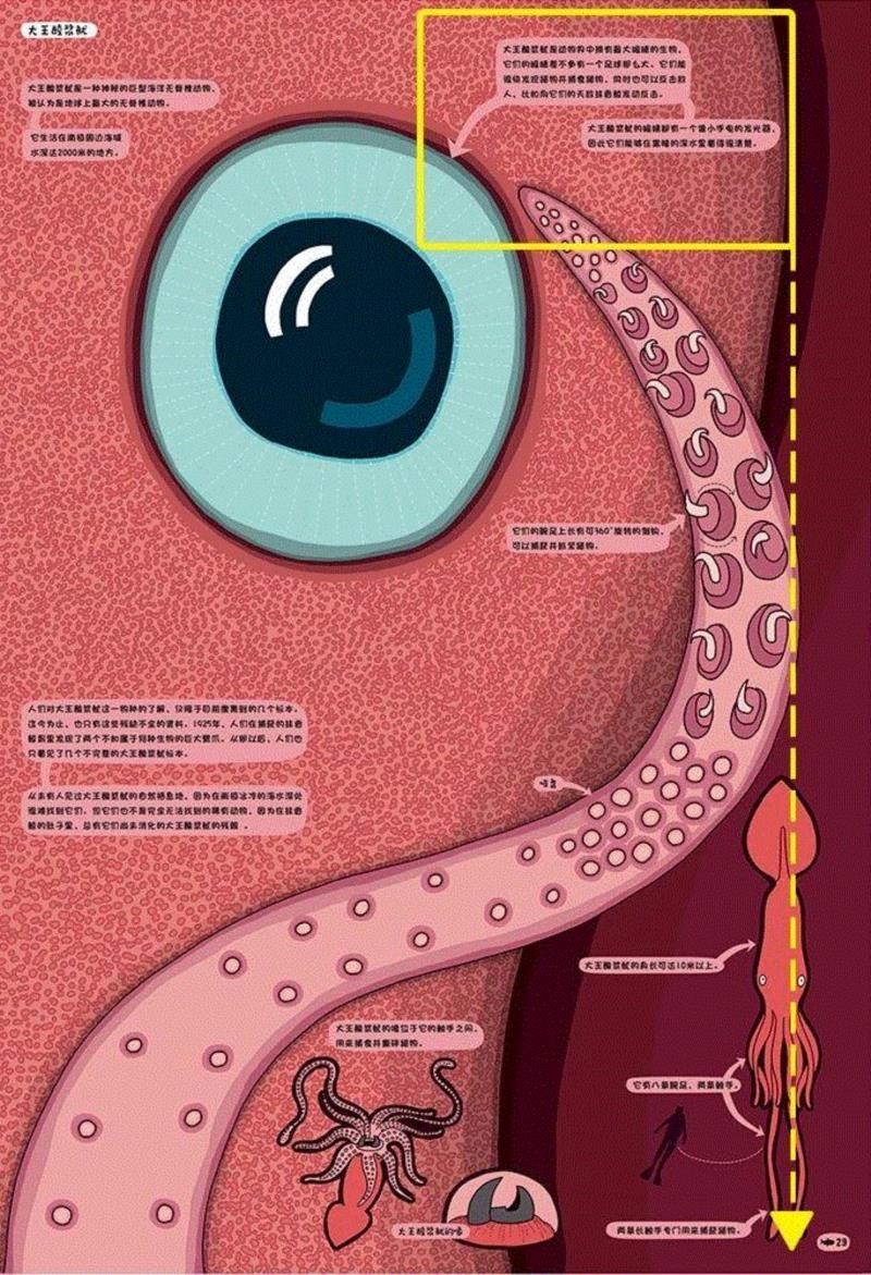 在书里你可以看到大王酸浆鱿腕足上的倒钩,问天问大地，问不倒你爹地妈咪
