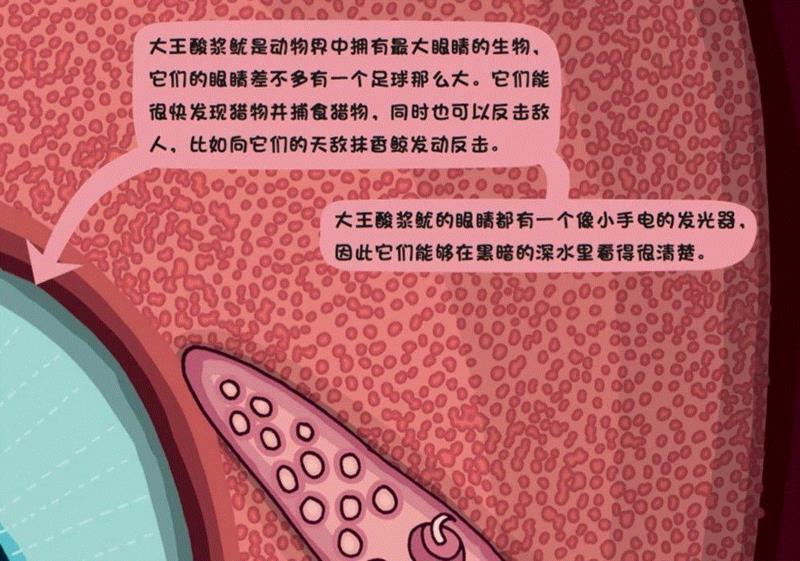 大王酸浆鱿身长10米以上，有8条腕足，2条触手，是地球上最大的无脊椎动物。,问天问大地，问不倒你爹地妈咪