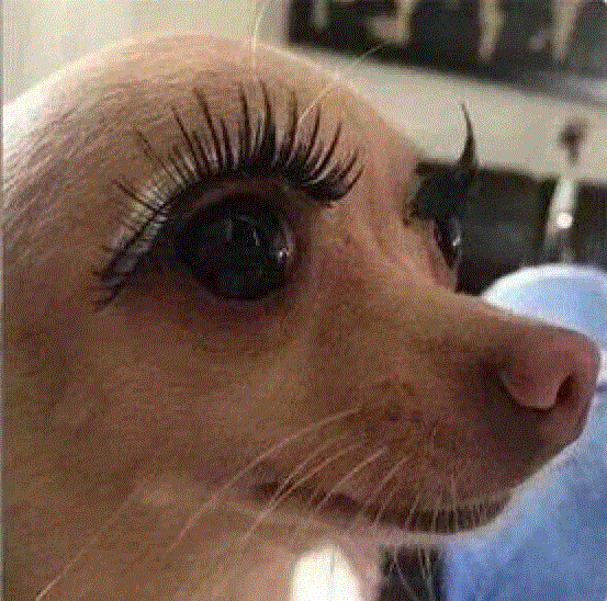 带女朋友去开房，看到她卸完妆的样子，我哭了......
