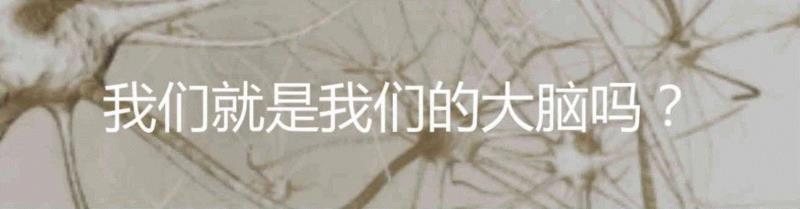 相比大脑，我们一直在忽视身体