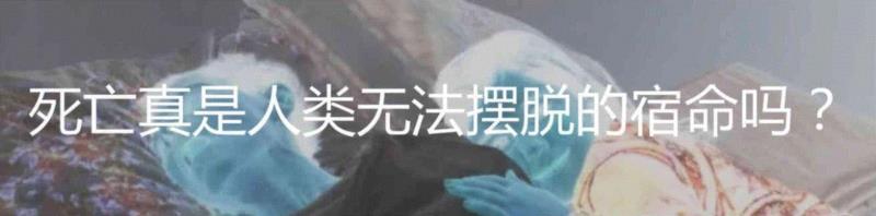 相比大脑，我们一直在忽视身体