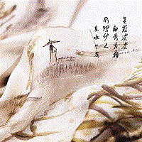 【艺术中心】等一朵花开——小林上海公益画展亮相朵云轩艺术中心