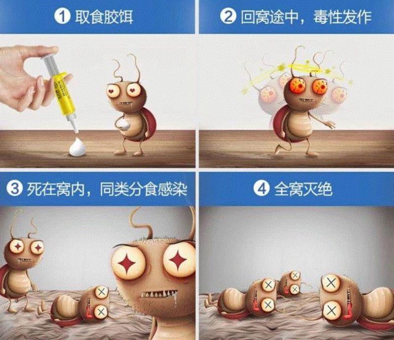 死亡很彻底：,滴一滴，蟑螂、蚂蚁、蚊子全家死光光